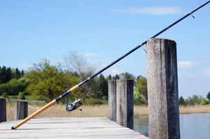 Concours de pêche à la truite des Ferias