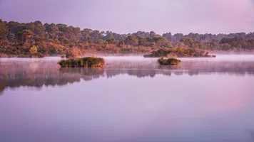 Découverte du Marais de Laouadie