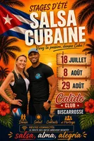 Résumé des stages d'été
