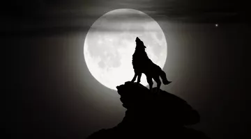 Soirée Loup-Garou de Thiercelieux - adultes
