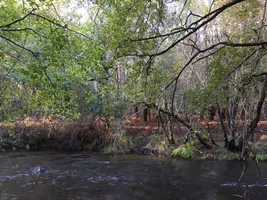 thumbnail_IMG_8554