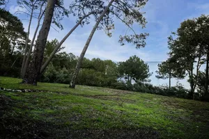 Jardin avec vue