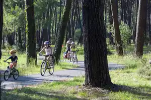 velo-pistes-cyclables-foret-bisca