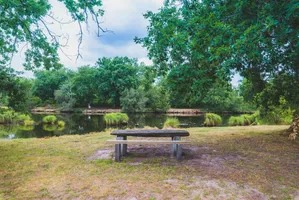 etang-des-forges-ychoux